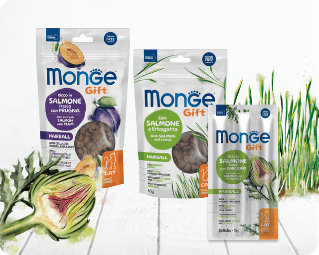 Monge – Monge Gift холистические корма для собак и кошек