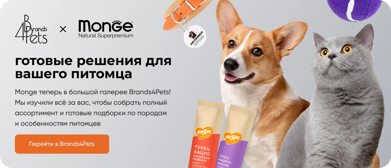Линия Bwild для кошек Monge — повседневные корма супер-премиум