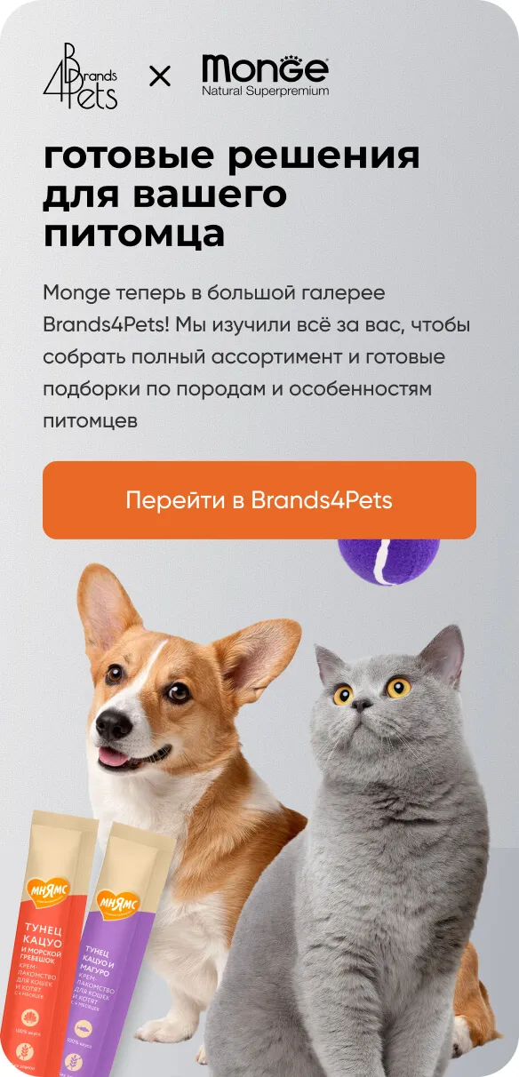 Линия Bwild для кошек Monge — повседневные корма супер-премиум