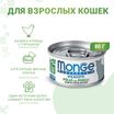 Влажный корм Monge Cat Monoprotein для кошек, мясные хлопья из курицы с горошком, консервы 80 г — фото 2