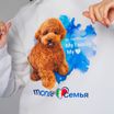 Monge Gift Shop collection 2023 толстовка белая ТойПудель М