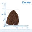 Сухой корм Monge Dog BWild LOW GRAIN для взрослых собак, низкозерновой, из мяса оленя 2,5 кг — фото 4