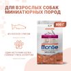 Сухой корм Monge Dog Speciality Line Monoprotein Extra Small для взрослых собак миниатюрных пород, с лососем и рисом 800 г — фото 2