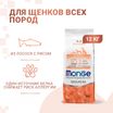 Сухой корм Monge Dog Speciality Line Monoprotein Puppy&Junior для щенков всех пород, из лосося с рисом 12 кг — фото 2