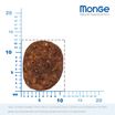 Сухой корм Monge Dog BWild LOW GRAIN для взрослых собак, низкозерновой, из мяса дикого кабана 2,5 кг — фото 5