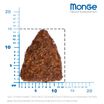 Сухой корм Monge Dog Speciality Line Hypo для взрослых собак, гипоаллергенный, лосось с тунцом 12 кг — фото 5