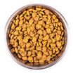 Сухой корм Monge Cat Daily Line Hairball для взрослых кошек, для выведения шерсти, из курицы 400 г — фото 6