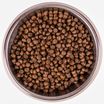 Сухой корм Monge Dog Speciality Line Extra Small для взрослых собак миниатюрных пород ягненок с рисом и картофелем 800 г — фото 6