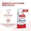 Сухой корм Monge Dog Speciality Line Active корм для активных собак, из курицы 12 кг — фото 2