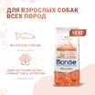 Сухой корм Monge Dog Speciality Line Monoprotein для взрослых собак всех пород, из лосося с рисом 12 кг — фото 2