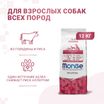 Сухой корм Monge Dog Speciality Line Monoprotein All Breeds Beef and Rice для взрослых собак всех пород, из говядины с рисом 12 кг — фото 2