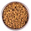 Сухой корм Monge Cat Daily Line Indoor для домашних кошек, из курицы 1,5 кг — фото 7