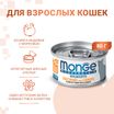 Влажный корм Monge Cat Monoprotein для кошек, мясные хлопья из индейки с морковью, консервы 80 г — фото 2