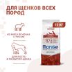 Сухой корм Monge Dog Speciality Line Puppy&Junior для щенков всех пород, из ягненка с рисом 12 кг — фото 2