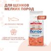 Сухой корм Monge Dog Speciality Line Monoprotein для щенков мелких пород, из лосося с рисом 7,5 кг — фото 2