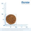 Сухой корм Monge Cat BWild GRAIN FREE для кошек, из лосося, беззерновой, 1,5 кг — фото 4