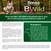 Сухой корм Monge Dog BWild LOW GRAIN для взрослых собак, низкозерновой, из мяса дикого кабана 12 кг — фото 3