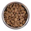 Сухой корм Monge Dog Speciality Line Light для взрослых собак всех пород, низкокалорийный, лосось с рисом 2,5 кг — фото 8