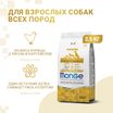 Сухой корм Monge Dog Speciality Line Monoprotein для взрослых собак всех пород, из курицы с рисом и картофелем 2,5 кг — фото 2