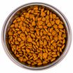 Сухой корм Monge Cat Speciality Line Monoprotein Sterilised для стерилизованных кошек, из говядины 1,5 кг — фото 6