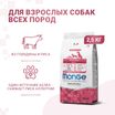 Сухой корм Monge Dog Speciality Line Monoprotein All Breeds Beef and Rice для взрослых собак всех пород, из говядины с рисом 2,5 кг — фото 3