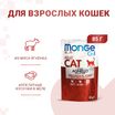 Влажный корм Monge Cat Grill для взрослых кошек, из новозеландского ягненка, паучи 85 г — фото 2