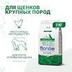 Сухой корм Monge Dog Daily Line Maxi для щенков крупных пород, из курицы 3 кг — фото 2