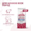 Сухой корм Monge Dog Speciality Line Monoprotein Puppy & Junior для щенков всех пород, из говядины с рисом 12 кг — фото 2