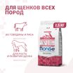 Сухой корм Monge Dog Speciality Line Monoprotein Puppy & Junior для щенков всех пород, из говядины с рисом 2,5 кг — фото 2