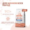 Сухой корм Monge Dog Speciality Line Monoprotein Puppy&Junior для щенков всех пород, из лосося с рисом 2,5 кг — фото 2