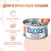Влажный корм Monge Cat Monoprotein для кошек, мясные хлопья из индейки, консервы 80 г — фото 2