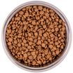 Сухой корм Monge Cat BWild GRAIN FREE для стерилизованных кошек, беззерновой, из тунца, 1,5 кг — фото 5