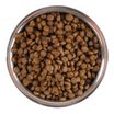 Сухой корм Monge Dog Speciality Line Monoprotein для щенков мелких пород, из лосося с рисом 2,5 кг — фото 2