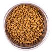 Сухой корм Monge Cat Daily Line для котят и беременных кошек, из курицы 400 г — фото 5