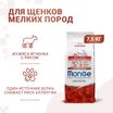 Сухой корм Monge Dog Speciality Line Monoprotein для щенков мелких пород, из ягненка с рисом 7,5 кг — фото 2
