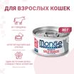 Влажный корм Monge Cat Monoprotein для кошек, мясные хлопья из мяса говядины, консервы 80 г — фото 2