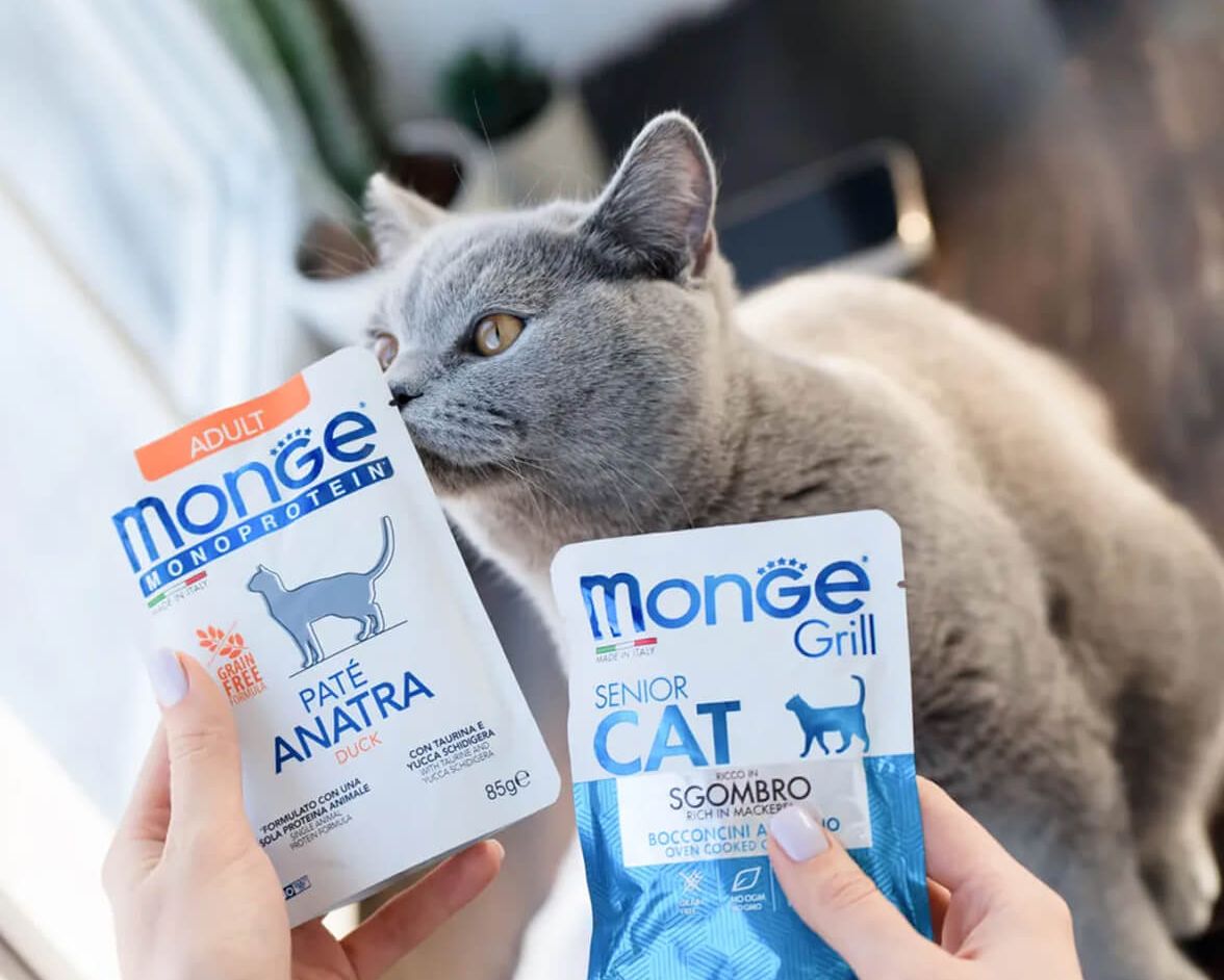 Кошка рядом с влажными кормами Monge Monoprotein и Monge Grill
