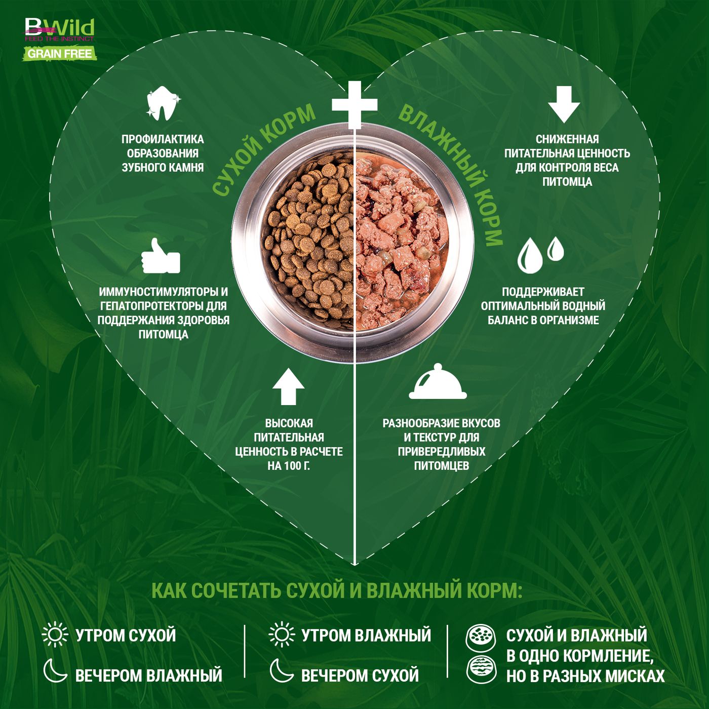 Monge Cat BWild GRAIN FREE беззерновые консервы из анчоусов с овощами для взрослых кошек 100г — фото 5