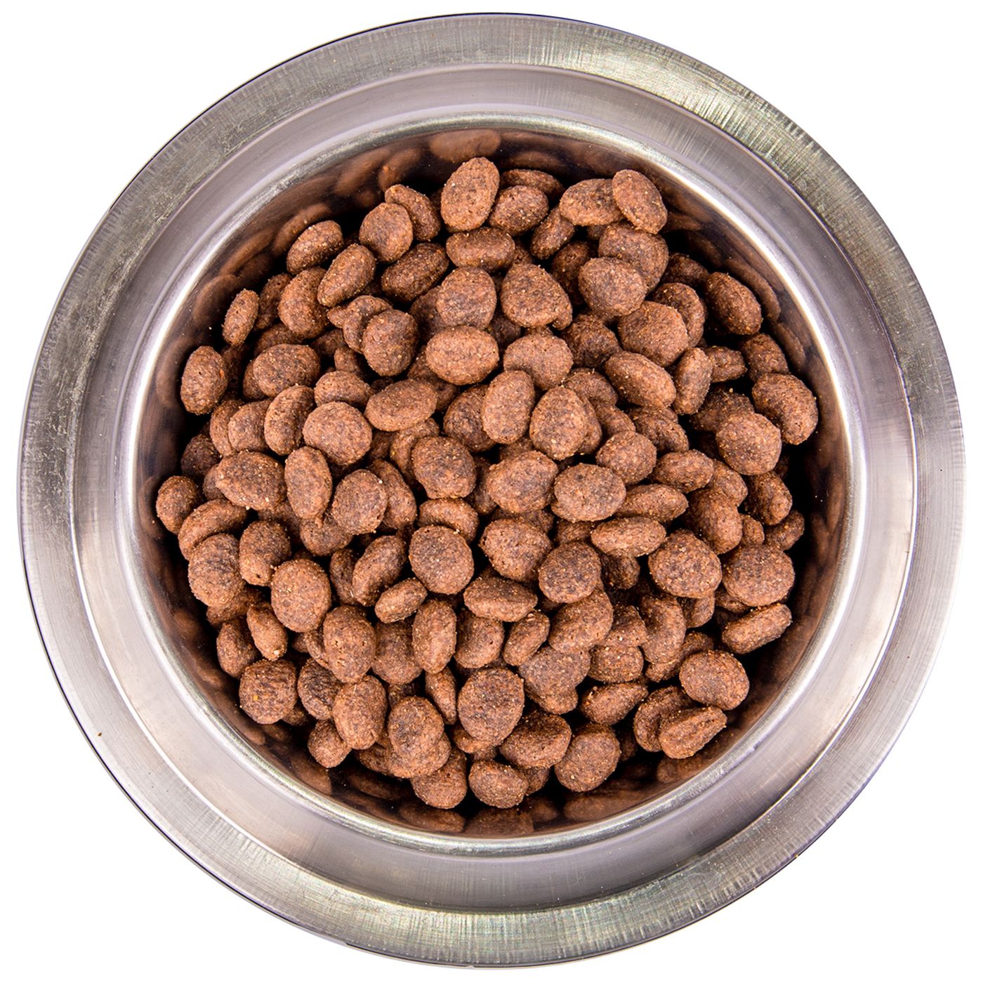 Сухой корм Monge Dog BWild LOW GRAIN для взрослых собак, низкозерновой, из мяса дикого кабана 2,5 кг — фото 6