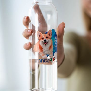 Monge Gift Shop collection 2023 бутылка Корги