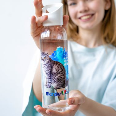 Monge Gift Shop collection 2023 бутылка для воды Шотландская полосатая кошка