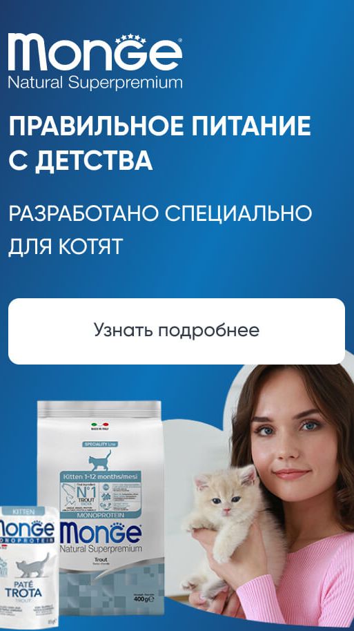 Monge для котят: правильное питание с детства