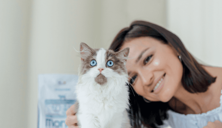 Рационы для котят